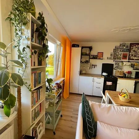 Apartamento Miejska Dzungla *