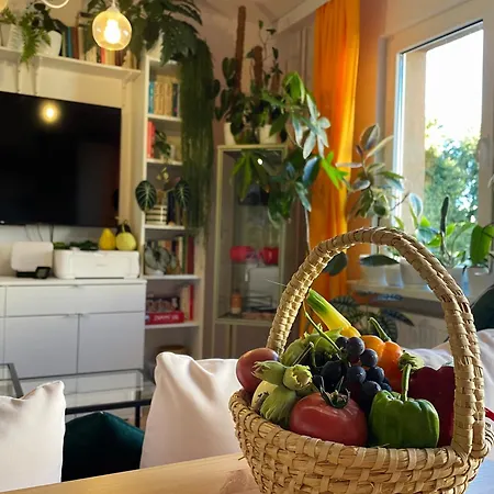 Miejska Dzungla Apartamento Malbork