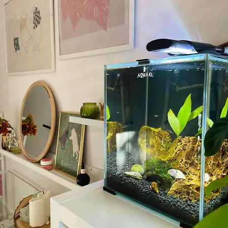 Apartamento Miejska Dzungla Malbork