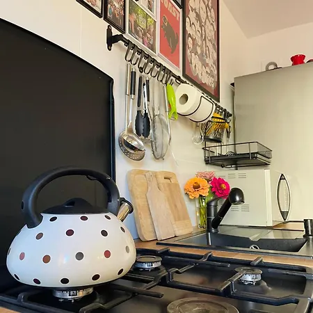 Miejska Dzungla Apartamento *